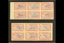 UNISSUED STAMPS. 1963 (c) Animals Blue & Rose Complete Never Hinged Mint Set Of 10np, 30np & 50np Values In Two Se-tenan - Dubai