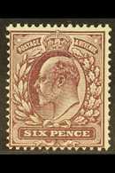1911 - 13 6d Dull Lilac Fluorescent Ink, SG Spec M33(5), Never Hinged Mint. Elusive Stamp. For More Images, Please Visit - Unclassified