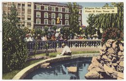 EL PASO TX - Alligator Pool, San Jacinto Plaza C1940s Vintage Linen TEXAS Postcard M8916 - El Paso