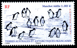 TAAF 2017 - "Manchot Adélie" Penguins** - Faune Antarctique