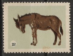 Donkey Ass - Animal - 1950's Hungary - LABEL / CINDERELLA / VIGNETTE - MH - Esel