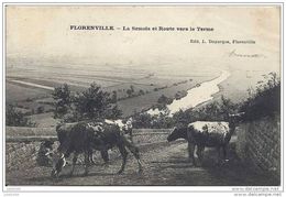 FLORENVILLE ..-- Semois Et Route Vers Le Terme . 1908 Vers HAL ( Mr Jean LANGHENDRIES ) .  Voir Verso . - Florenville