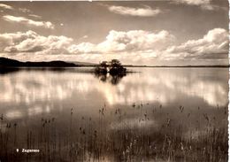 Zugersee (carte Grand Format ) - Zug