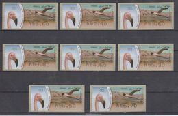 ISRAEL 2010 KLUSSENDORF ATM BIRD FLAMINGO FULL SET OF 8 STAMPS - Frankeervignetten (Frama)