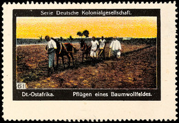 5215 Vignette "Pflügen Eines Baumwollfeldes" Aus Der Serie Deutsche Kolonialgesellschaft  OG - German East Africa