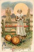 250339-Thanksgiving, Winsch 1911 WIN01-5, Samuel Schmucker, Pilgrim Woman Standing Over Pumpkins In Field - Thanksgiving