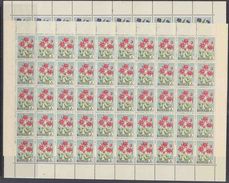 Iceland 1958 Flowers 2v Sheetlets (shtlts Are 1x Folded) ** Mnh (F6830) - Ungebraucht