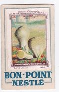 Bon Point Nestlé Lycoperdon Gemmatum Champignon Champignons Mushroom Setas Pilze - Other & Unclassified