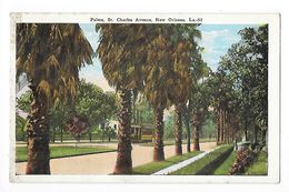 Palms, St Charles Avenue, NEW ORLEANS - Tramway -   - L 1 - New Orleans