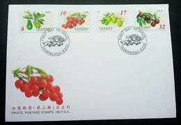 Taiwan Fruits (III) 2002 Fruit Food Plant (stamp FDC) - Lettres & Documents