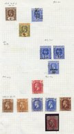 CAYMAN ISLANDS & DOMINICA Good To FU Ranges On Leaves. Caymans 1900 ½d, 1d, 1905 ½d (2), 1d (2), 2½d (2), 1907 1s, 1921- - Other & Unclassified