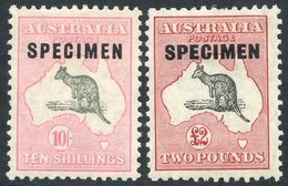 1929-30 10s & £2 (pulled Perf At Top) Set Of Two Ovpts SPECIMEN, Fresh M, SG.112s & 114s. (2) Cat. £450 - Sonstige & Ohne Zuordnung