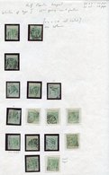 1882-86 ½ On ½pa Surcharges Range On Leaves, 1882 CCC (1), CCA (14), SG.23 & 25, Further Range Of 1886 CCA (11) SG.29, S - Autres & Non Classés