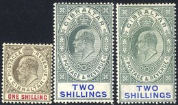 1904-08 1s, 2s (two Shades), Fresh M, SG.61/62. (3) Cat. £275 - Other & Unclassified