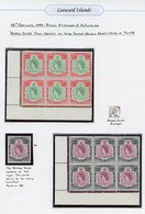 1954 Defin Set UM, Another Set VFU Then A Range Of Blocks/Plate Blocks Incl. 'loop' Flaws & Plate Blocks Of $2.40 & $4.8 - Sonstige & Ohne Zuordnung