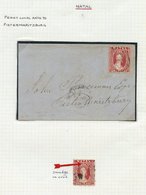 1859-63 U Accumulation Mounted Up On Three Pages With Perf 14, Rough Perf, Perf 13 & 12½ All Represented. Also A Cover F - Sonstige & Ohne Zuordnung