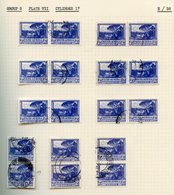 DEFINITIVES Specialised Collection Of Good To VFU Housed In A Spring Back Album (over 1200 Stamps) Incl. 6d Orange Tree  - Other & Unclassified