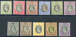 1903-04 CCA Set, Fine M, SG.10/20. (11) Cat. £650 - Other & Unclassified