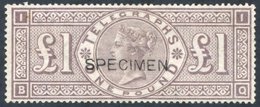 1877 £1 Brown Lilac, Optd SPECIMEN Type 8, Fresh Looking, Part O.g, Slight Creases, SG.T17s, Cat. £900 - Sonstige & Ohne Zuordnung