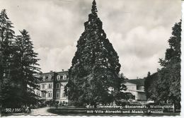 Bad Gleichenberg - Wellingtonia Mit Villa Albrecht Und Musik-Pavillon 1956 (002559) - Bad Gleichenberg