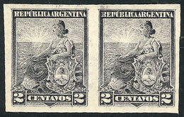 ARGENTINA: GJ.219P. 2c. Liberty, Imperforate Pair, MNH, VF Quality! - Other & Unclassified