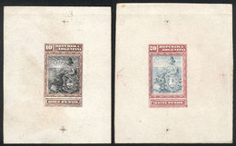 ARGENTINA: GJ.237/238, 1899 10P. And 20P. Seated Liberty, DIE PROOFS Printed On Car - Other & Unclassified