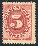 UNITED STATES: Sc.J25, 1891 5c. Carmine Rose, Mint Original Gum, VF, Catalog Value - Postage Due