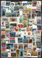 NEW ZEALAND: Lot Of Modern Stamps And Sets, VERY THEMATIC, Unmounted And Of Excelle - Andere & Zonder Classificatie