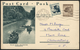 SOUTH AFRICA: 1½p. Postal Card + ½p. Green, View Of "Wilge River, Harrismith", U - Non Classés