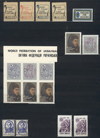 UKRAINE: Stockbook With Large Number Of Very Interesting CINDERELLAS, Also Includin - Oekraïne