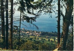 En Descendant De Thollon-les-Memises  Lugrin Sur Les Bords Du Lac Léman   Cpsm Format 10-15 - Lugrin