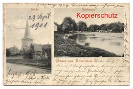 Berlin - Rosenthal 1901, Kirche + Dorfstrasse, Nach Winnweiler - Pankow