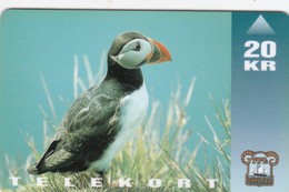 Faroe Islands, OD-008, Oystercatcher, Bird, Only 15.000, 2 Scans. - Féroé (Iles)