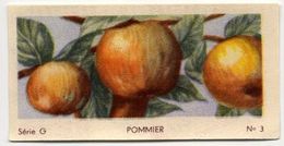 Delcampe - Jacques - Ca 1960 - Fruit - G3 - Pommier, Appel, Apple - Jacques