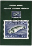 GREENLAND 1984 Wolffish 10 Kr. Definitive On Maximum Card.  Michel 154 - Cartas Máxima