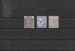 AUSTRALIA DEL SUR - Mint Stamps