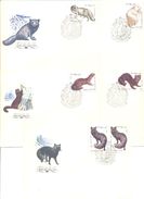 1980. USSR/Russia, Fur-bearing Animals, FDC, 5v, Mint/** - Storia Postale