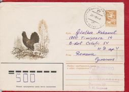 MOUNTAIN ROOSTER BIRD BIRDS  FAUNA RUSSIA POSTAL STATIONERY - Cuckoos & Turacos