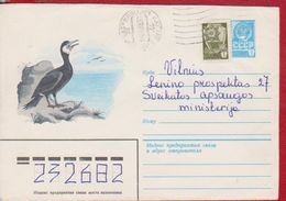 BIRD BIRDS GEESE  RUSSIA POSTAL STATIONERY - Oies