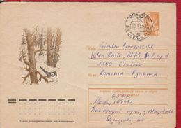 BIRD BIRDS  RUSSIA POSTAL STATIONERY - Specht- & Bartvögel