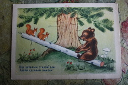 "SWING" - OLD USSR PC 1954 - Bear - Mushroom - Champignon - Pilze