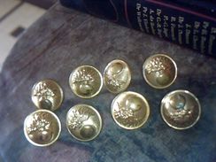 Militaria Boutons D Uniforme En Laiton Infanterie Lot De 8 - Buttons