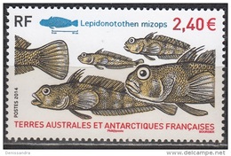 TAAF 2014 Yvert 690 Neuf ** Cote (2017) 7.20 € Poisson Lepidonotothen Mizops - Unused Stamps