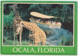 OCALA, FLORIDA, Silver Springs, Used Postcard [20699] - Silver Springs