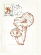 THEME CHAMPIGNON  LACTARIUS DELICIOSUS   ALGERIE N° 969  SUR  CARTE PREMIER JOUR - Mushrooms