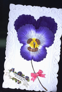 CARTE SYSTEME FLEUR TISSUS - Cartoline Con Meccanismi