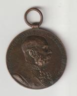 51-spille-distintivi-medaglie- Austria-medaglia Guerra 1915-18 - Oostenrijk