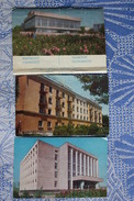 KAZAKHSTAN. CHIMKENT. 7  Postcards Lot. 1977 - Rare - Kazakhstan