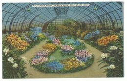 Cincinnato Ohio Green House At Eden Park Um 1930 - Cincinnati