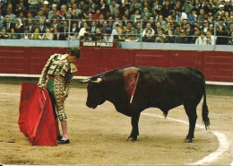 Corrida / Clasico Desplante - Corrida